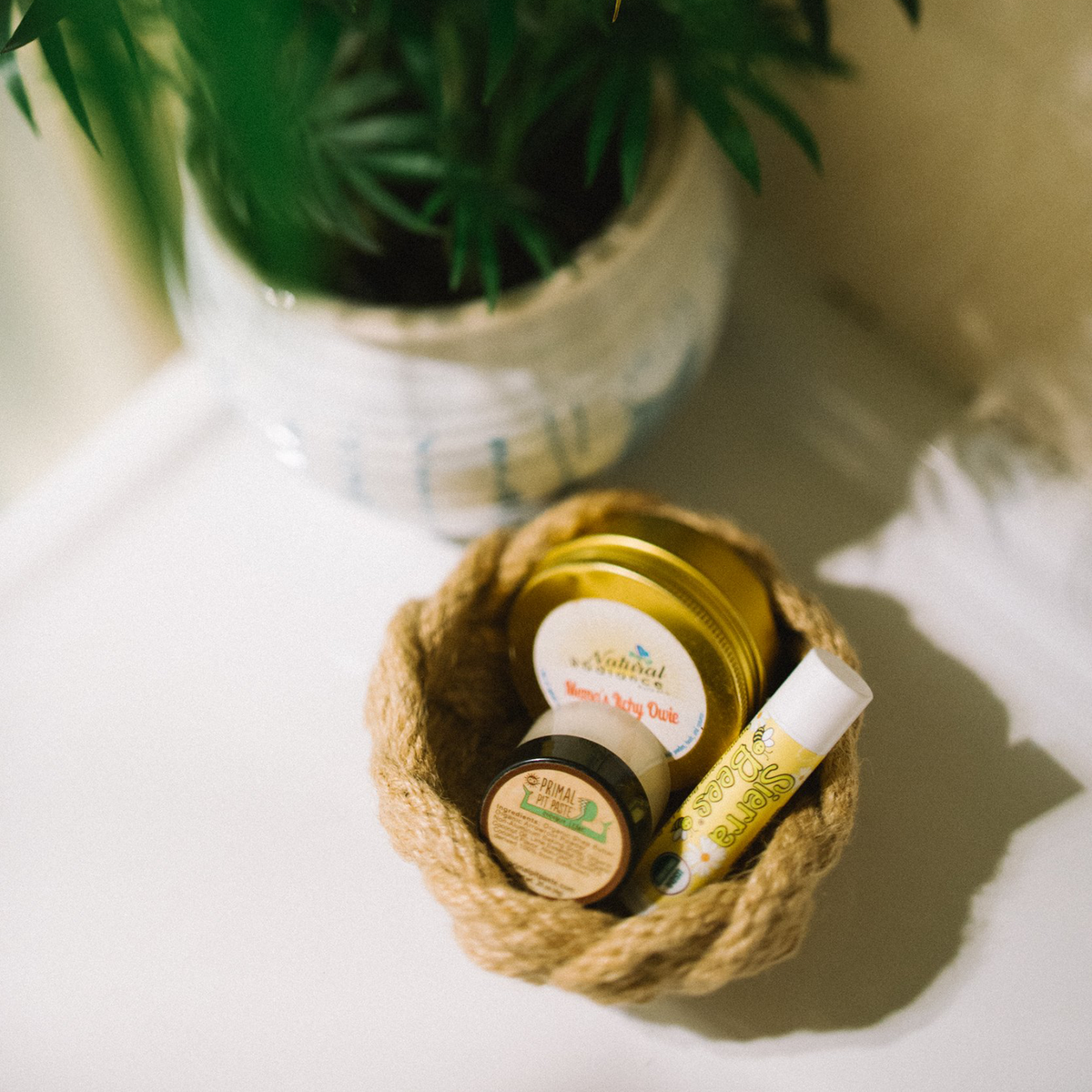 Woven basket with natural skincare products on a white surface near a potted plant